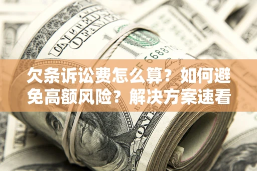 北京欠条诉讼费怎么算？如何避免高额风险？解决方案速看！
