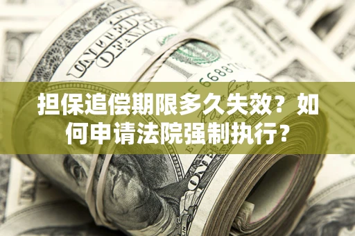北京担保追偿期限多久失效？如何申请法院强制执行？