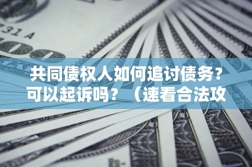 北京共同债权人如何追讨债务？可以起诉吗？（速看合法攻略）