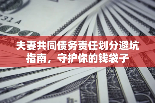 北京夫妻共同债务责任划分避坑指南，守护你的钱袋子