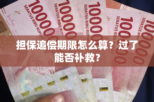 北京担保追偿期限怎么算？过了能否补救？